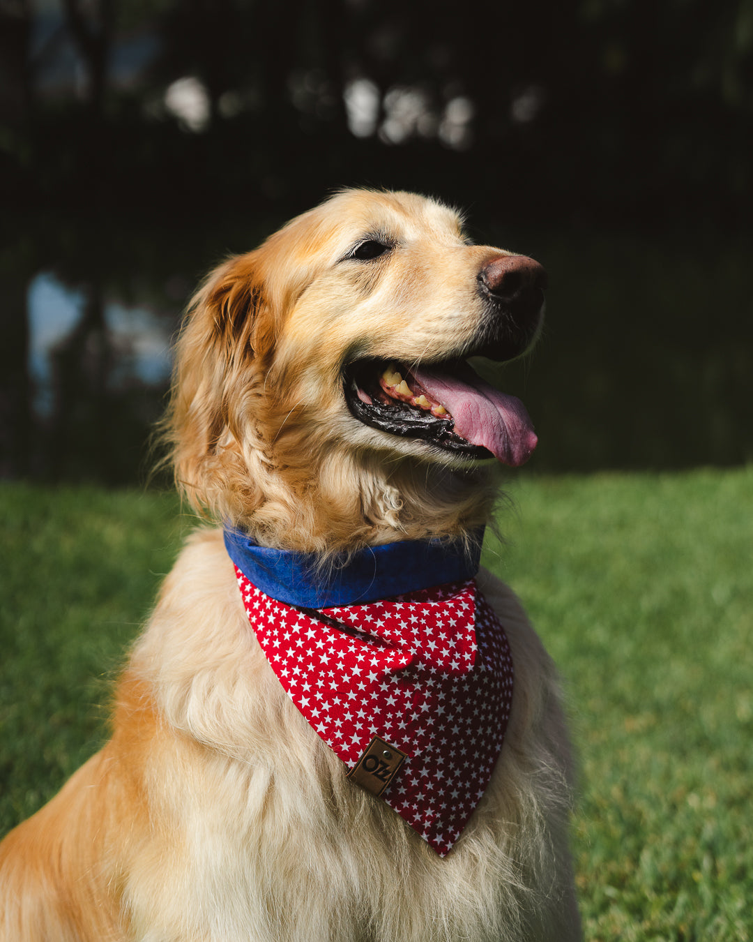 All-Stars Roja Bandana