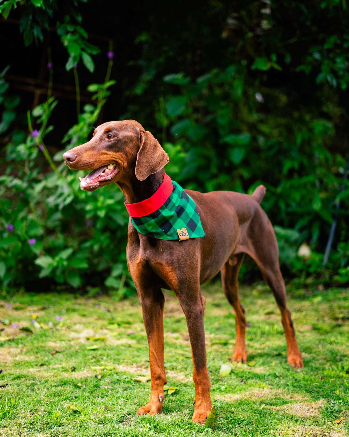 Duende Verde Bandana