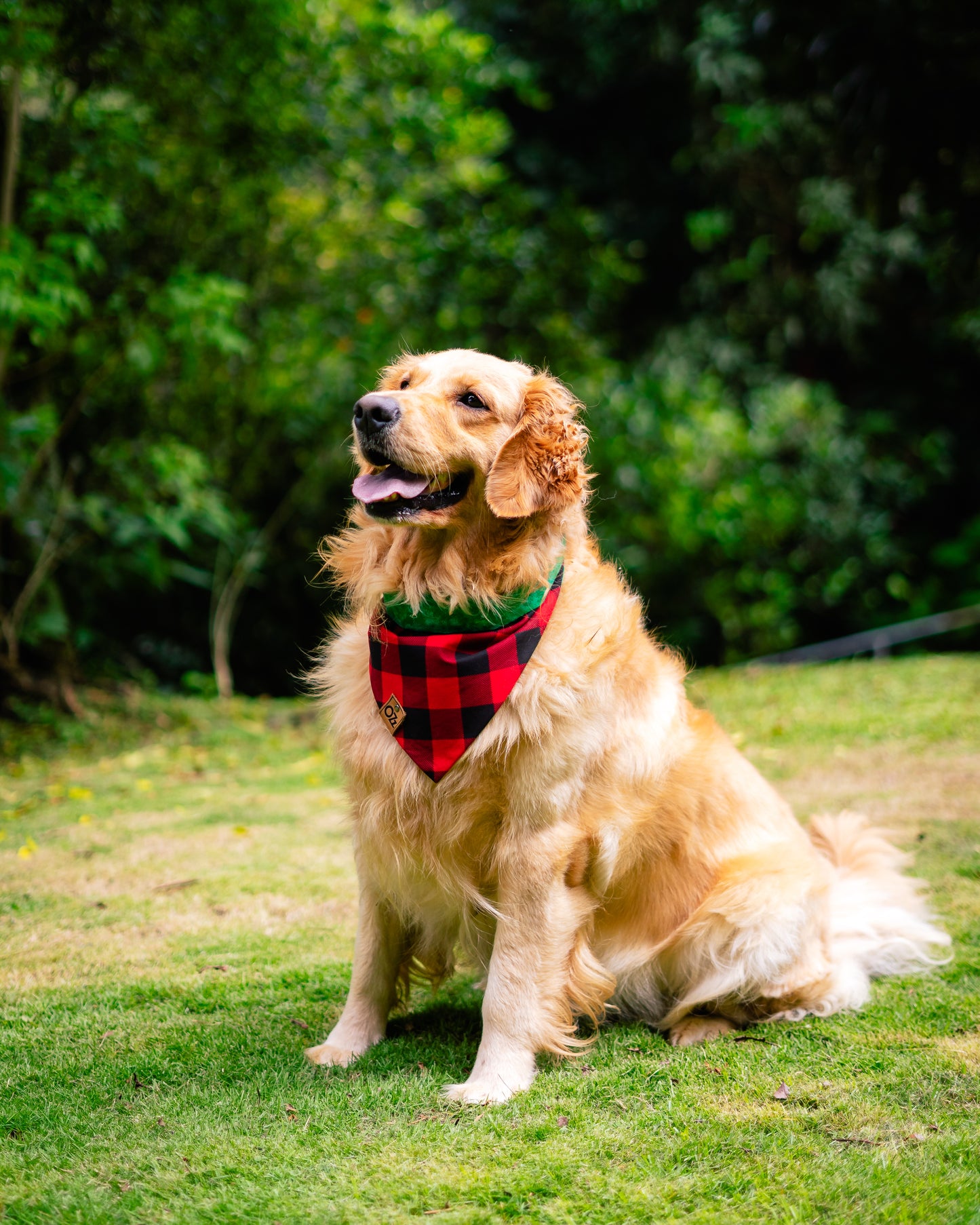 Leñador Bandana