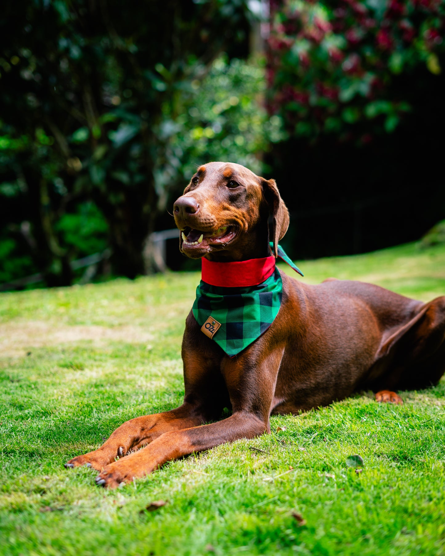 Duende Verde Bandana