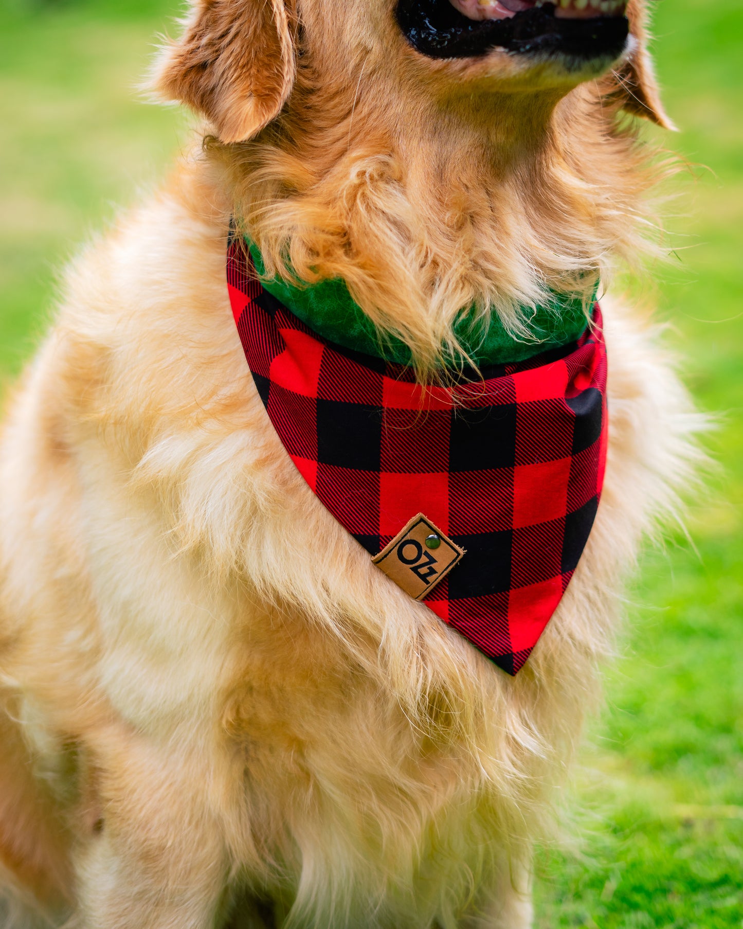 Leñador Bandana