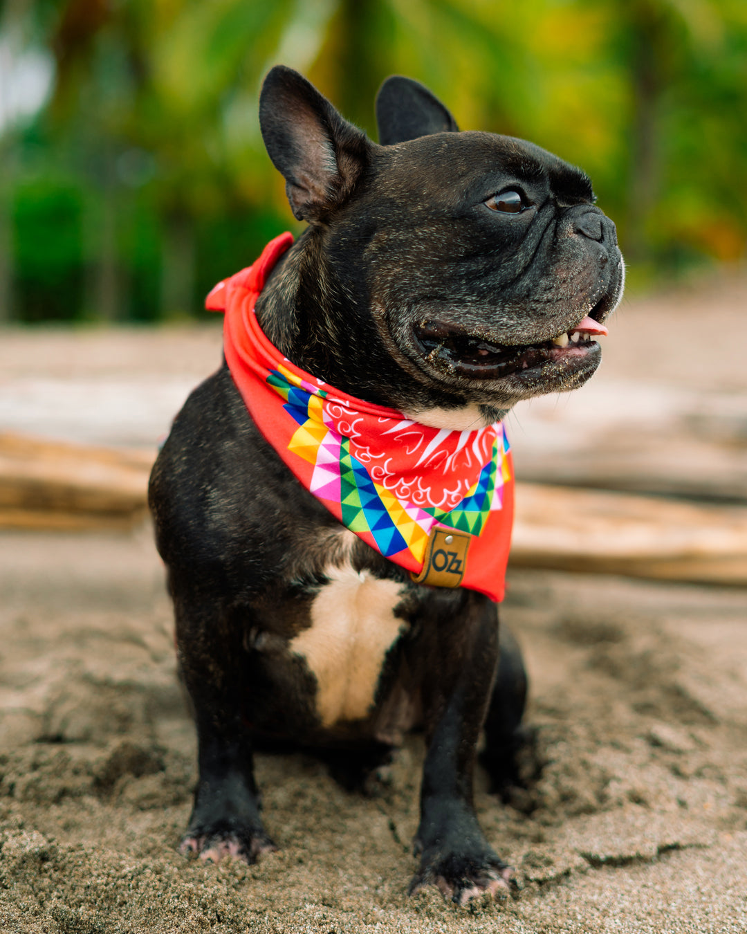 Carreta Típica Bandana