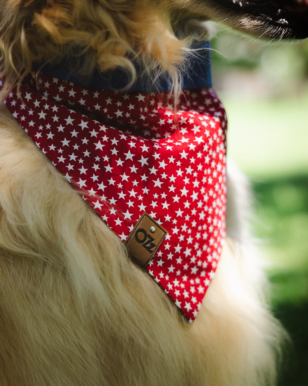 All-Stars Roja Bandana