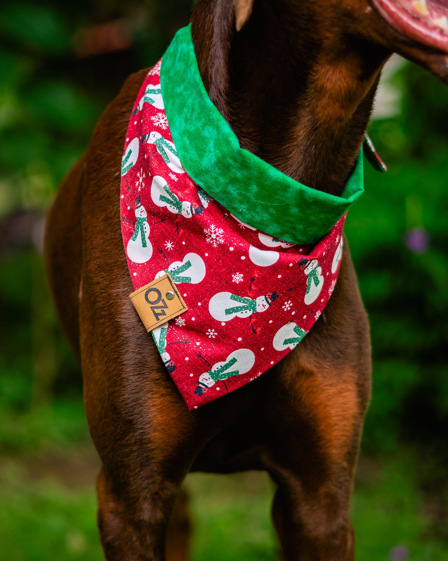 Red Frosty Bandana