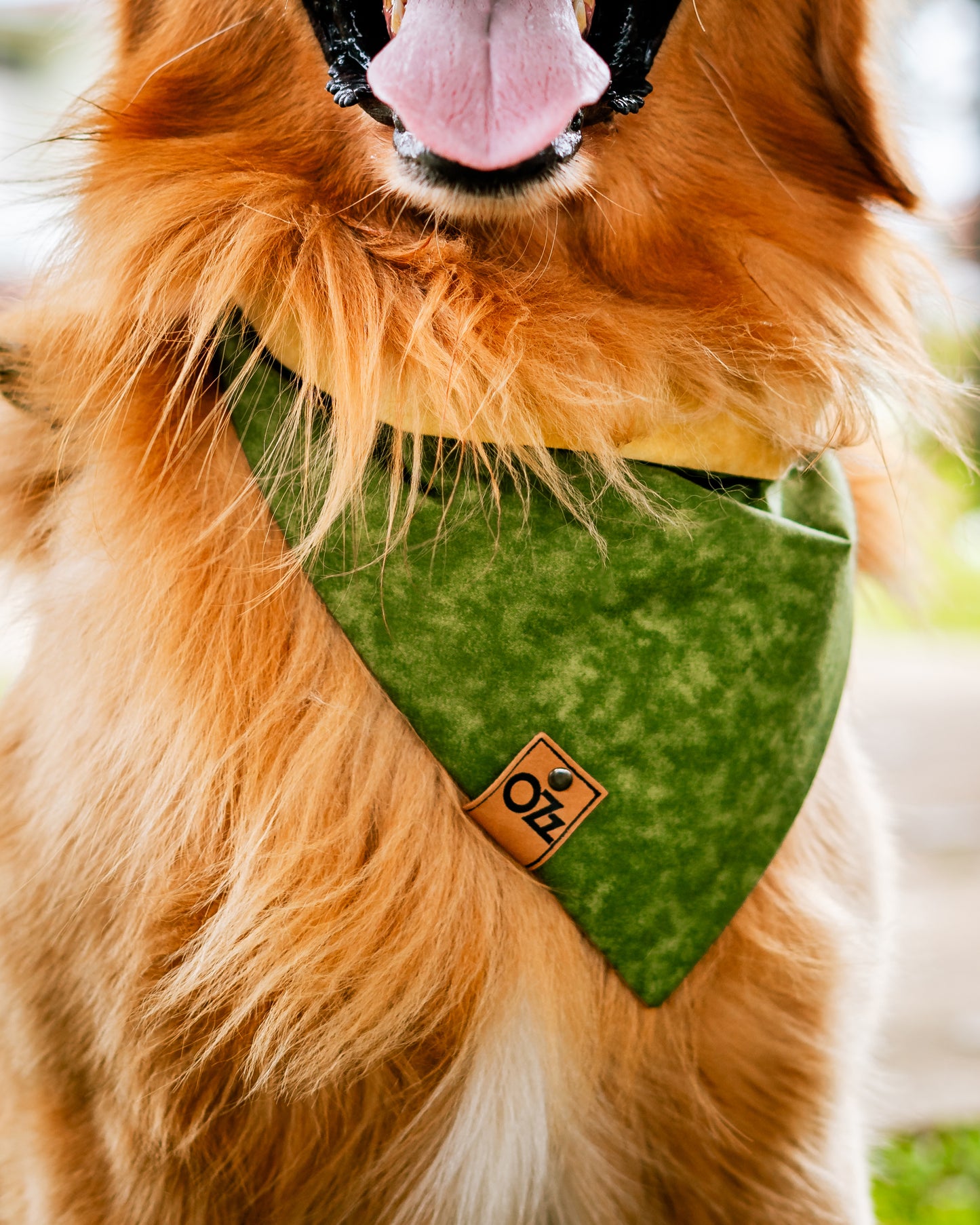 Hulk Bandana