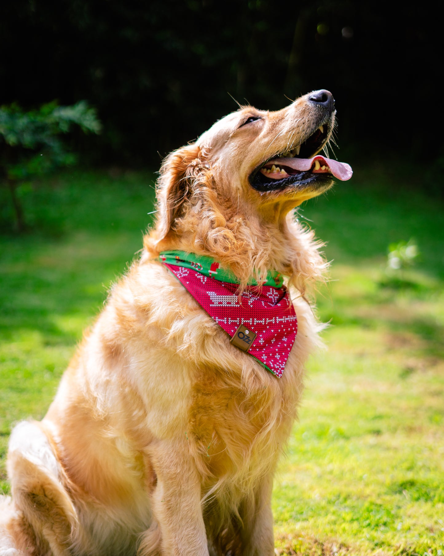 Ozz Reindeers Bandana