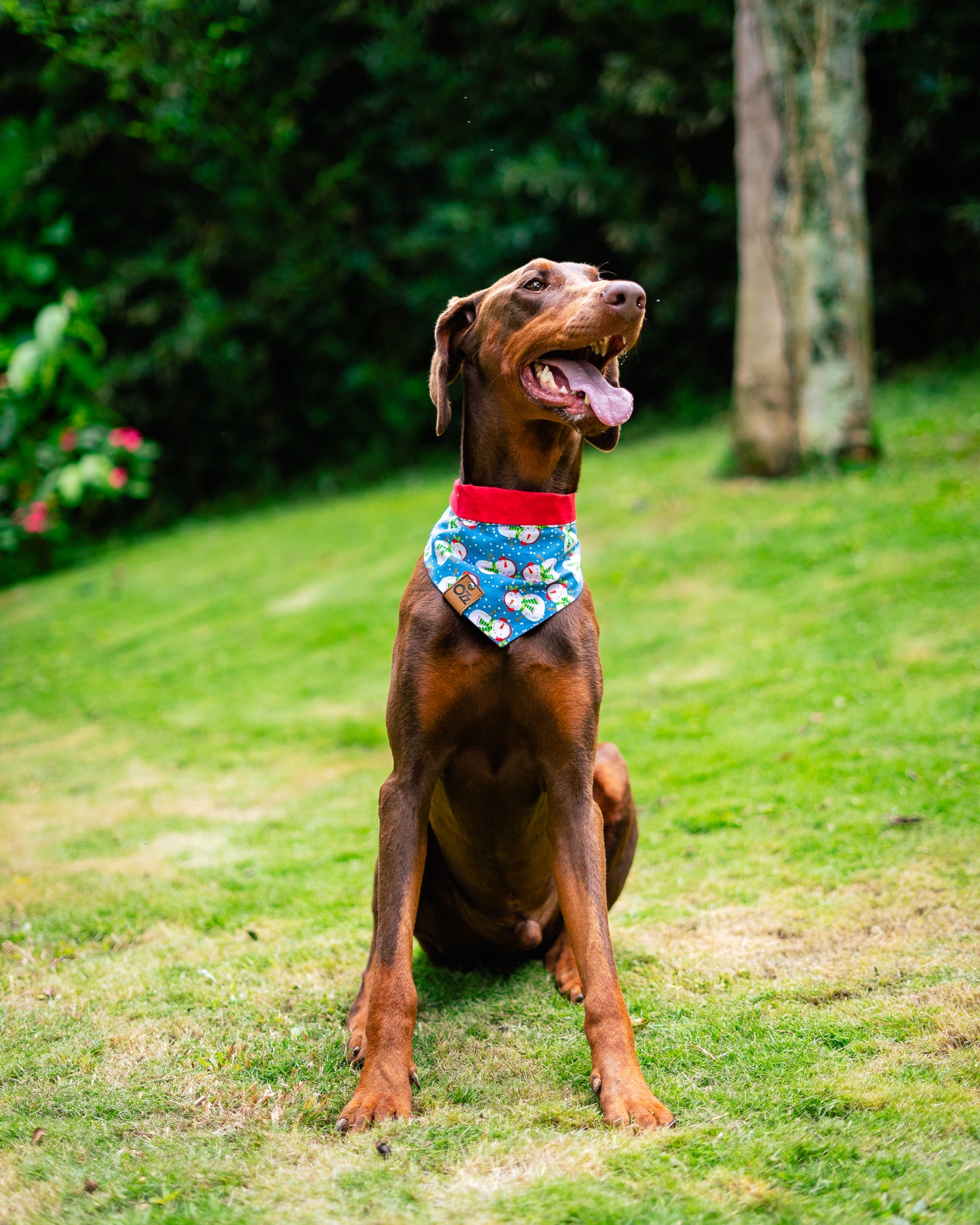 Light Blue Frosty Bandana