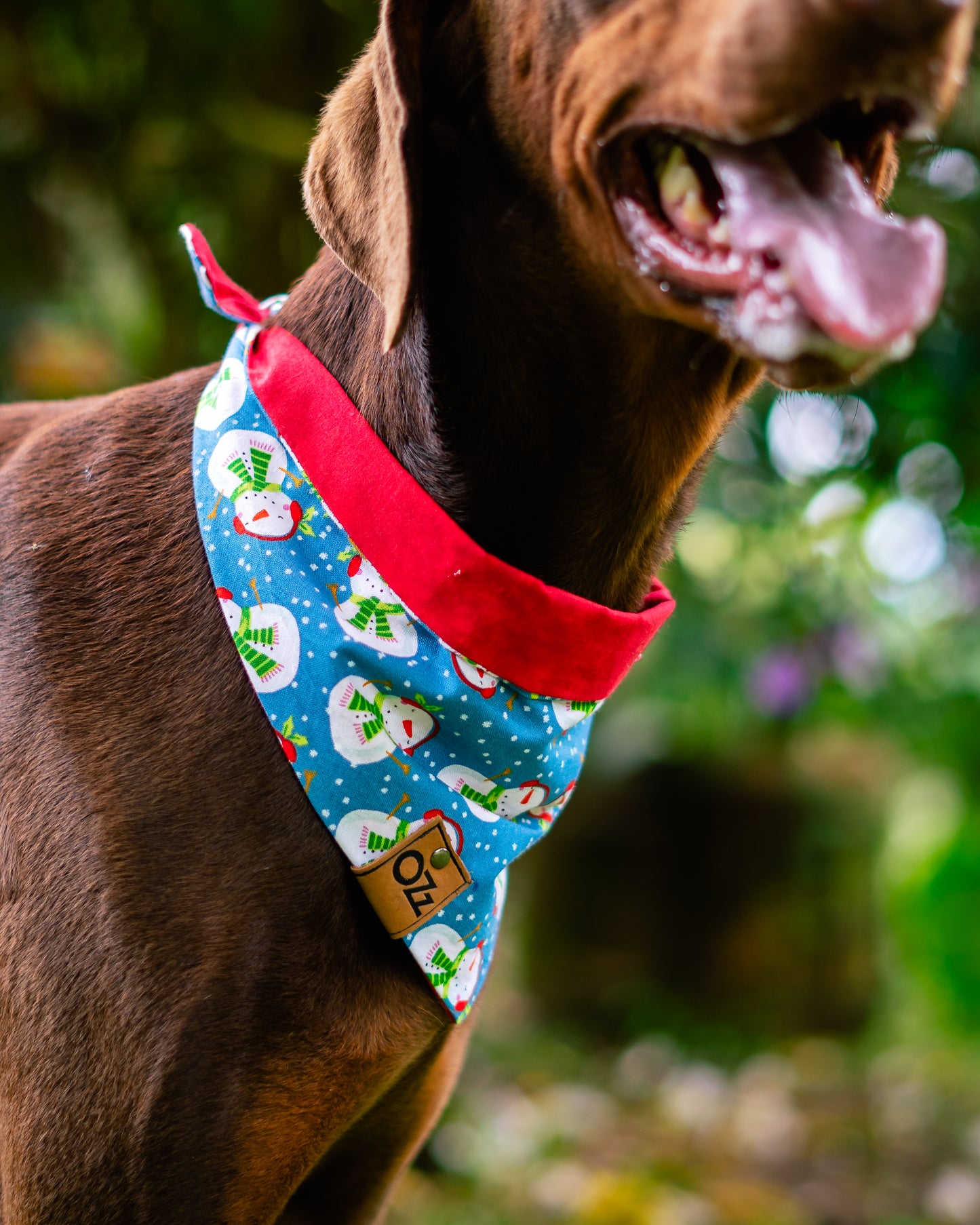 Light Blue Frosty Bandana