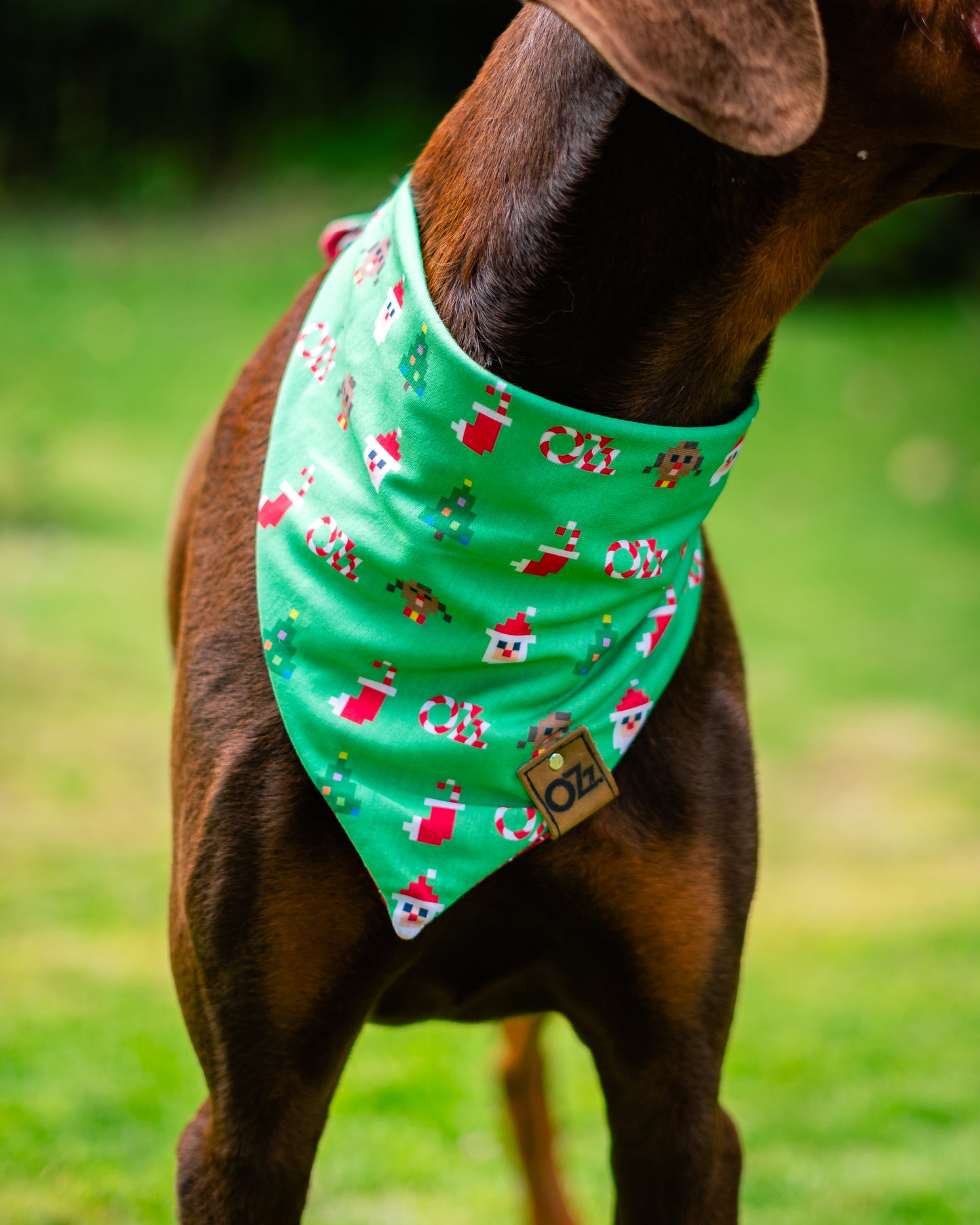 Ozz Reindeers Bandana