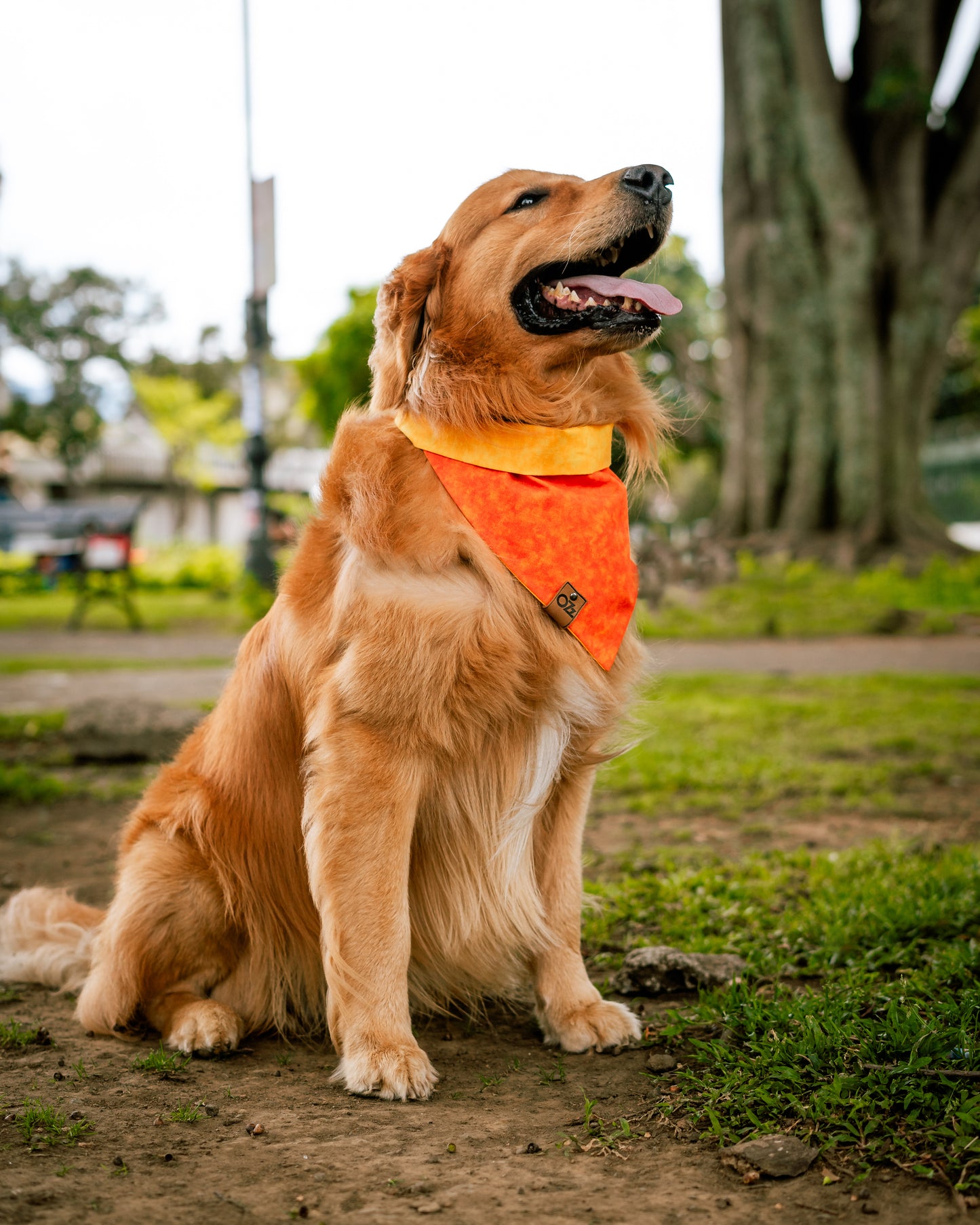 Aperol Spritz Bandana