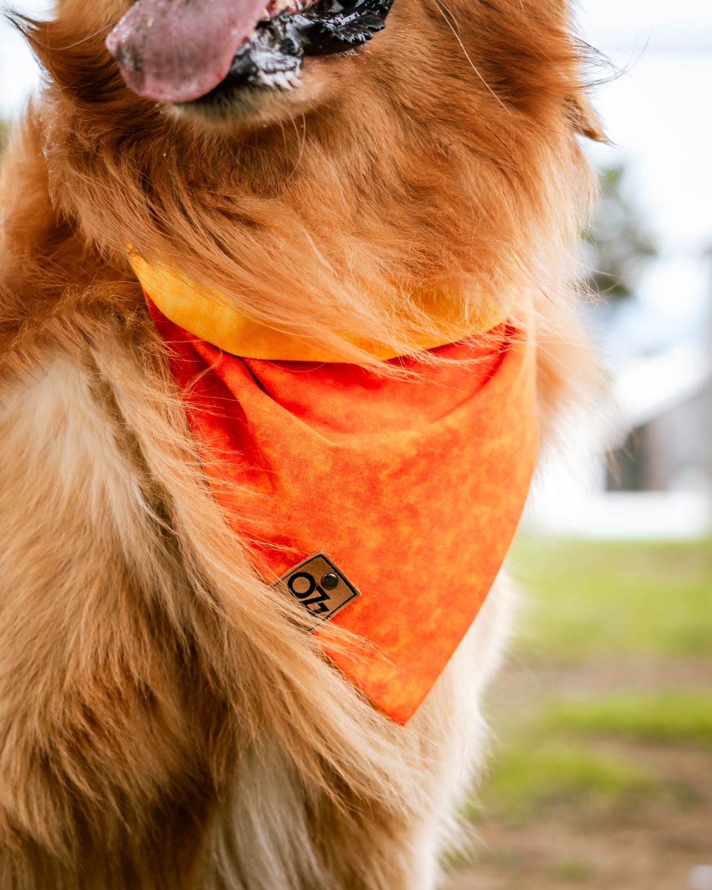 Aperol Spritz Bandana