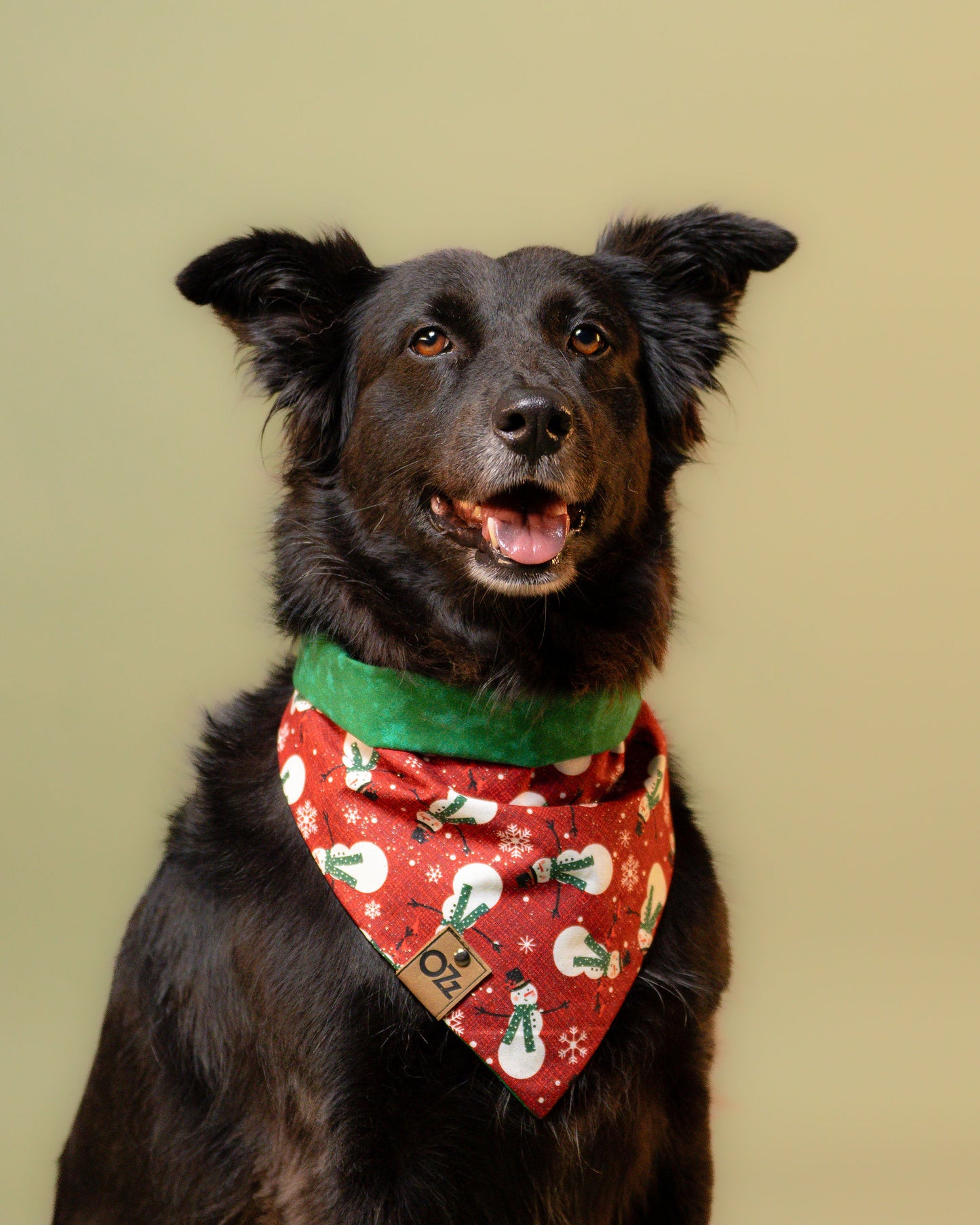 Red Frosty Bandana