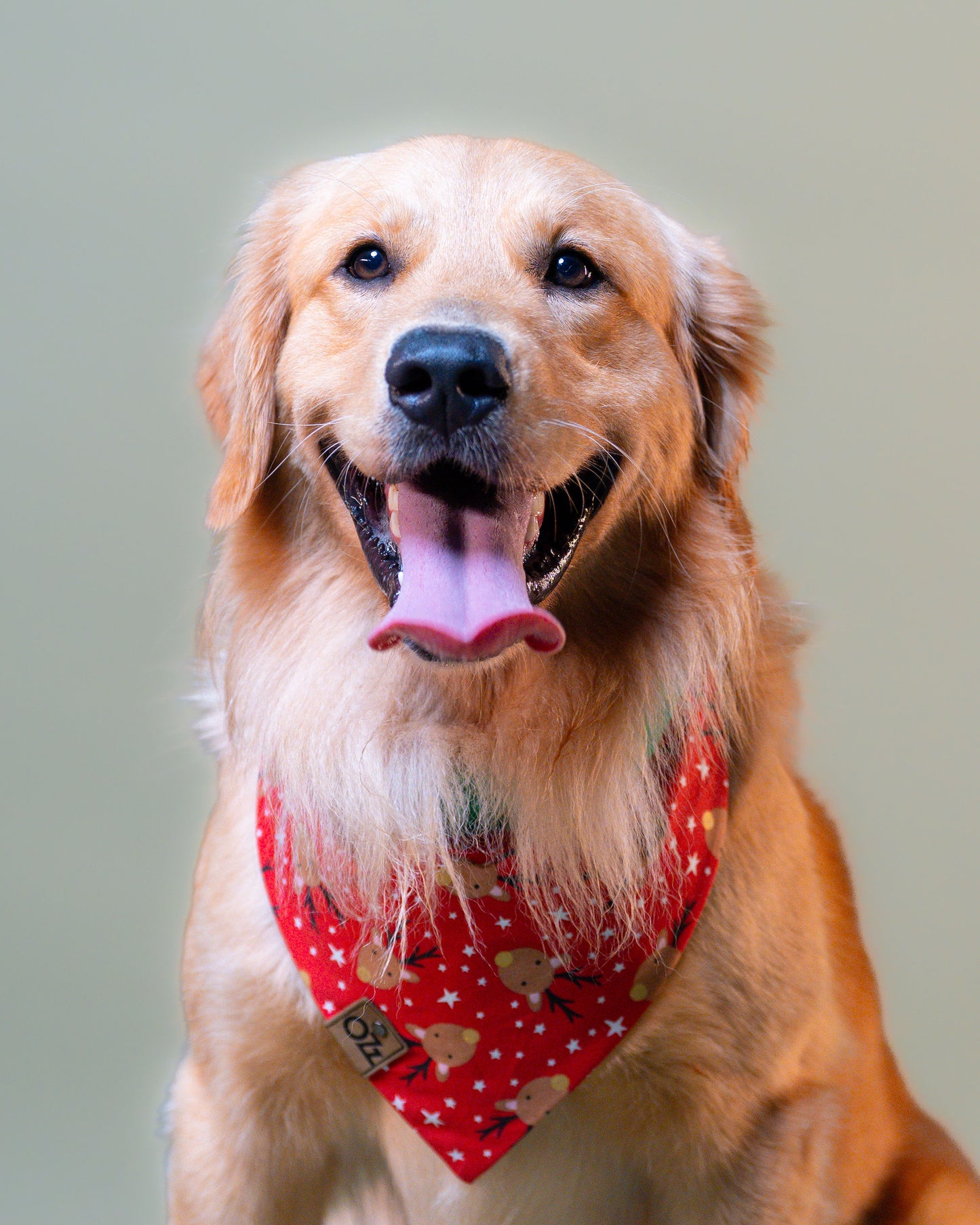 Golden Rudolf Bandana
