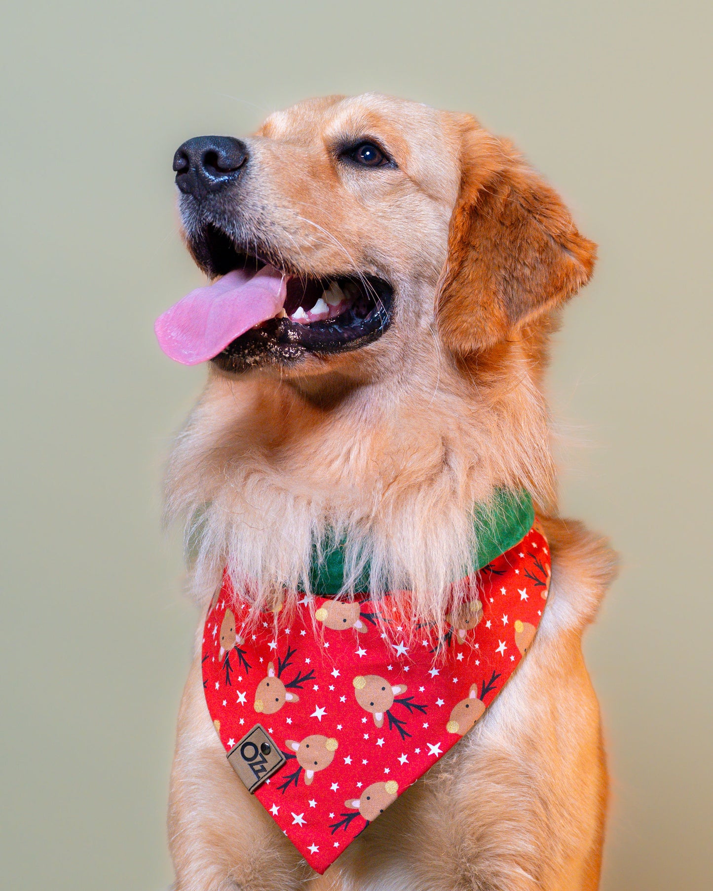 Golden Rudolf Bandana