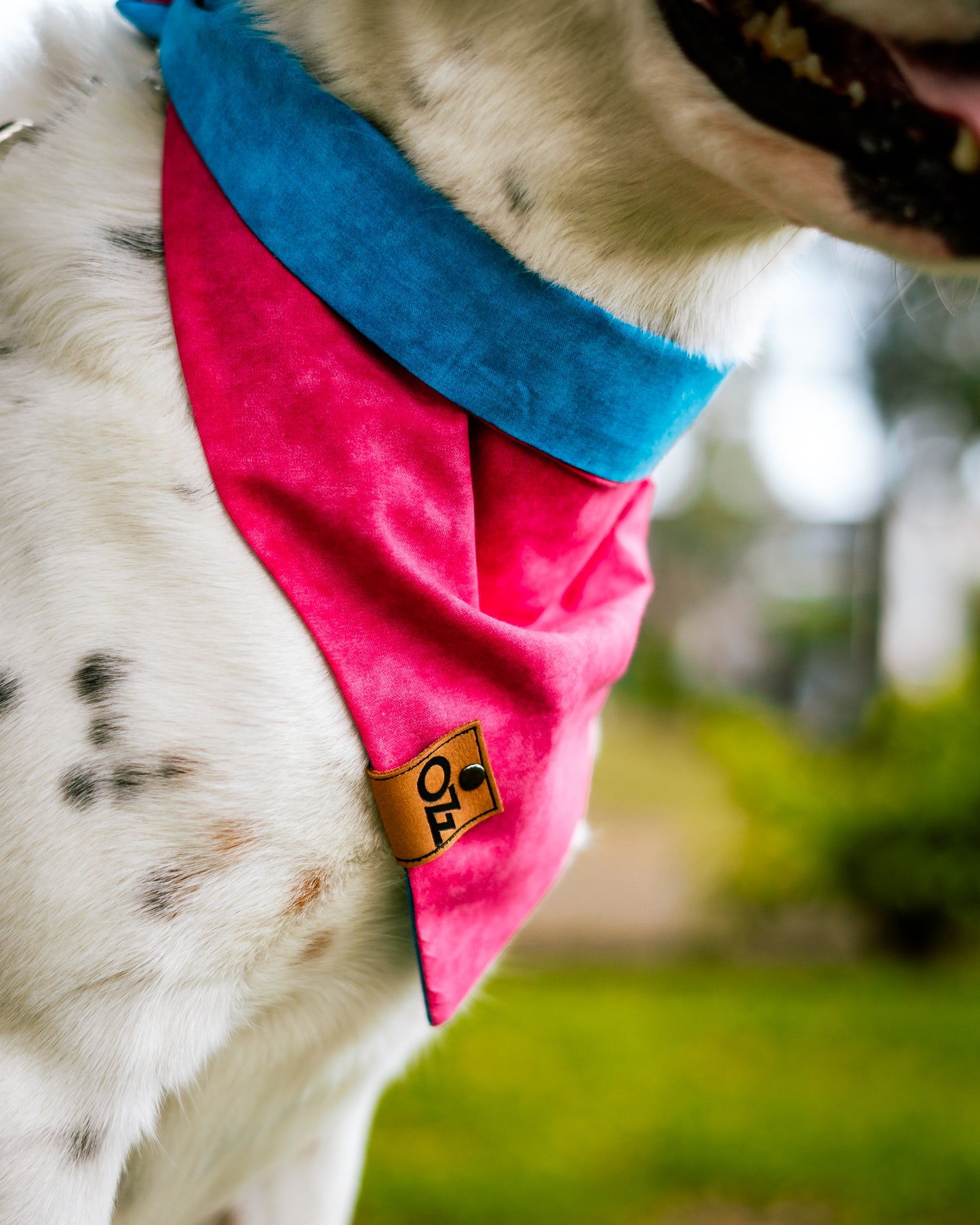 Bubble Gum Bandana