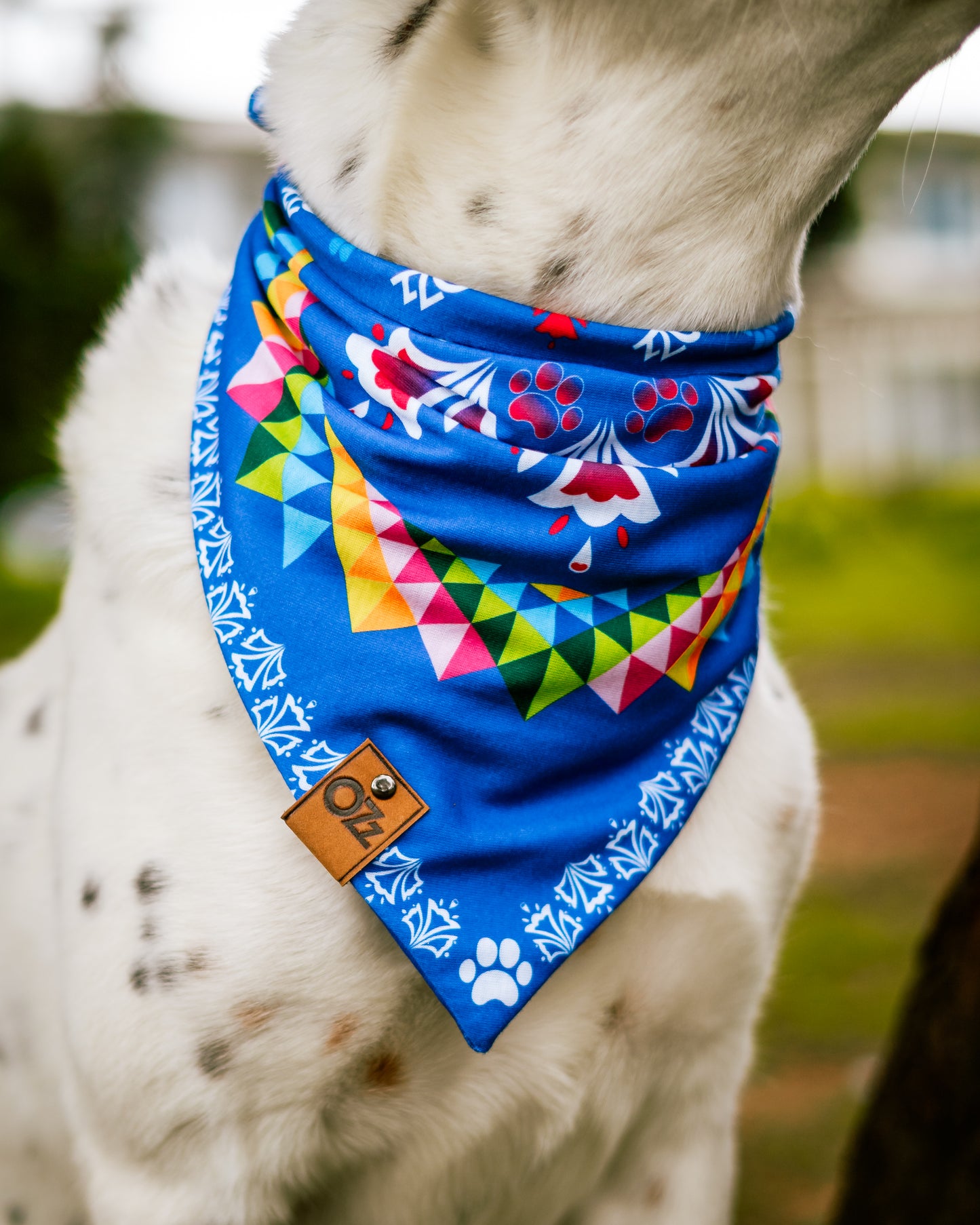 Flor Guaria Morada Bandana