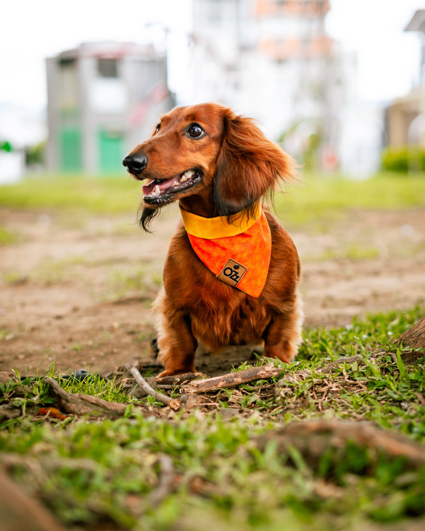 Aperol Spritz Bandana