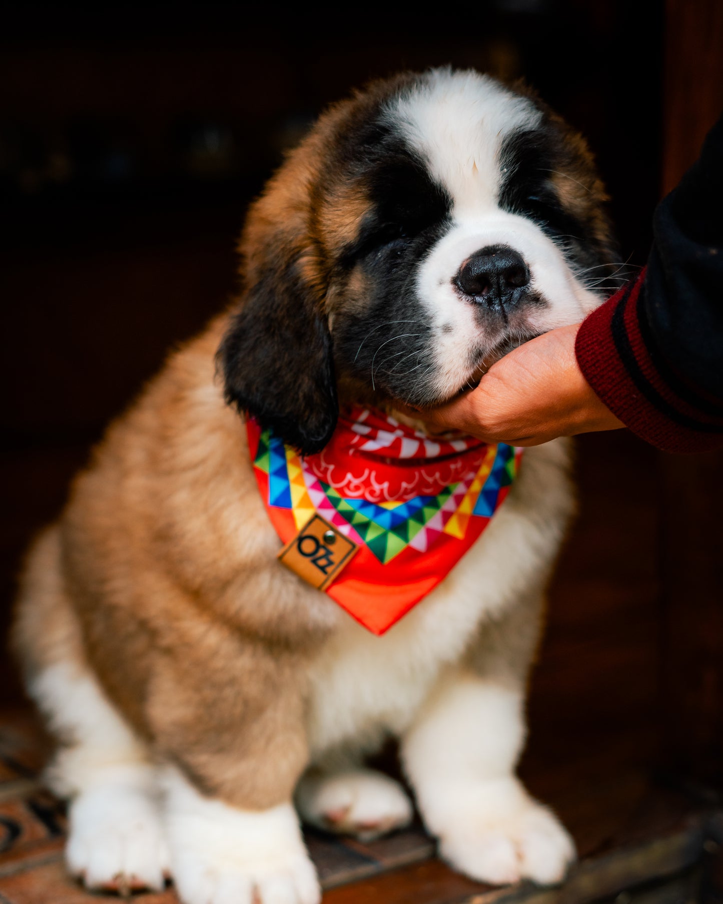 Carreta Típica Bandana