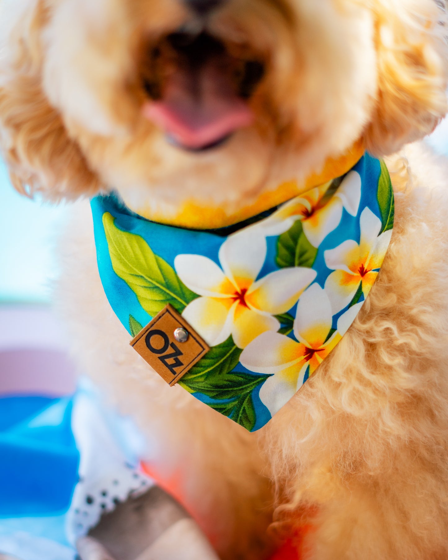 Light Blue Bandana